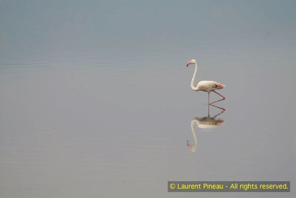 060712_LPK5220