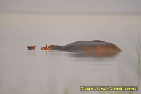 060712_LPK5328