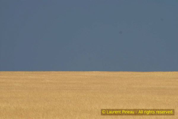 060720_LPK9297
