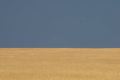 060720_LPK9297