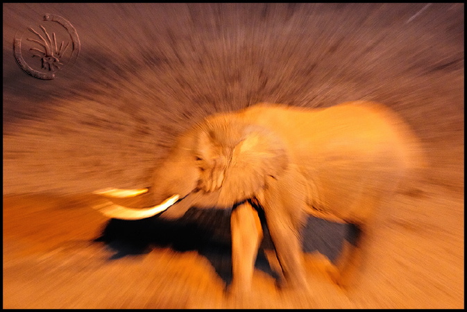 100201-21h34m41_L3K02391
