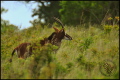 090823-15h40m20_LPK08049