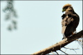 100203-10h15m53_L3K03472-R