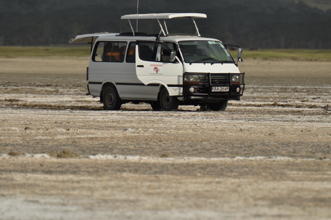 100130-17h30m57_DSC08842