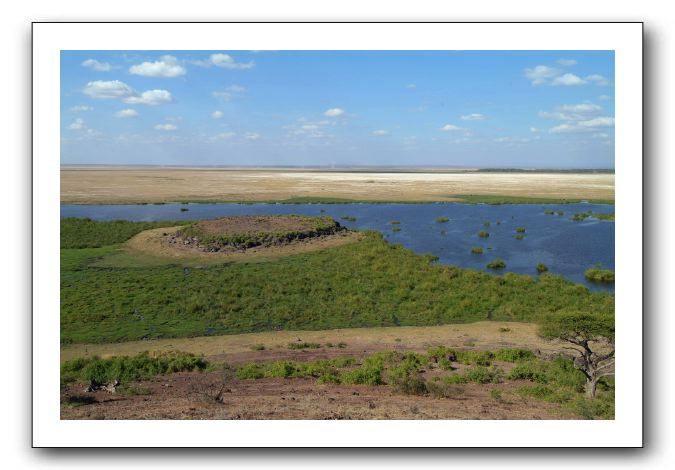 LP-Amboseli_01.jpg