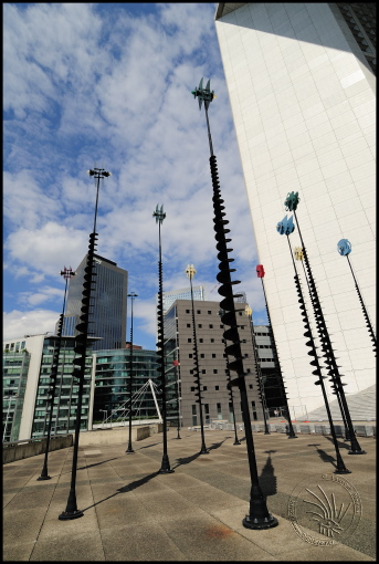 070724_LPW13493