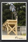 070818_LPS14421