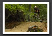 070923_LPS15224