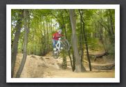 070923_LPS15524