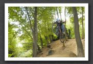 070923_LPS15529
