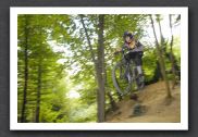 070923_LPS15539