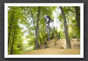 070923_LPS15559