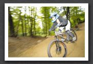 070923_LPS15561