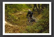 070923_LPS15253