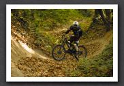 070923_LPS15254