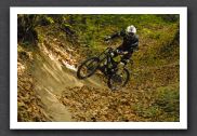 070923_LPS15255
