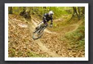 070923_LPS15257