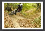 070923_LPS15267