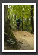 070923_LPS15205
