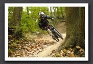 070923_LPS15275
