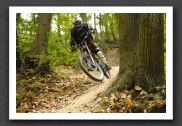 070923_LPS15276