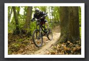070923_LPS15277