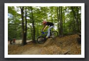 070923_LPS15284