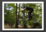 070923_LPS15299