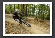 070923_LPS15306