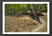 070923_LPS15320