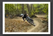 070923_LPS15324