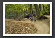 070923_LPS15329