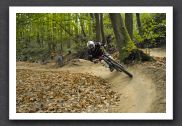 070923_LPS15330
