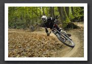 070923_LPS15331