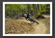 070923_LPS15336