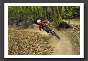 070923_LPS15338