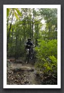 070923_LPS15416