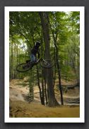 070923_LPS15430