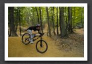 070923_LPS15440