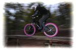 071027_LPS17857
