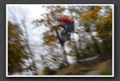 071101_LPS17956