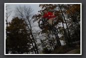 071101_LPS17968