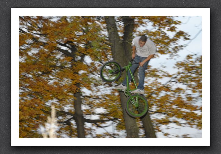 071104_LPS18301