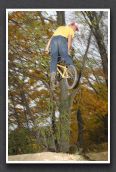 071104_LPS18251