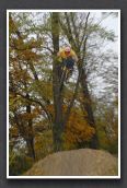 071104_LPS18263