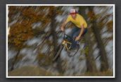 071104_LPS18297