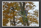 071104_LPS18301