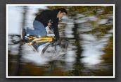 071104_LPS18308